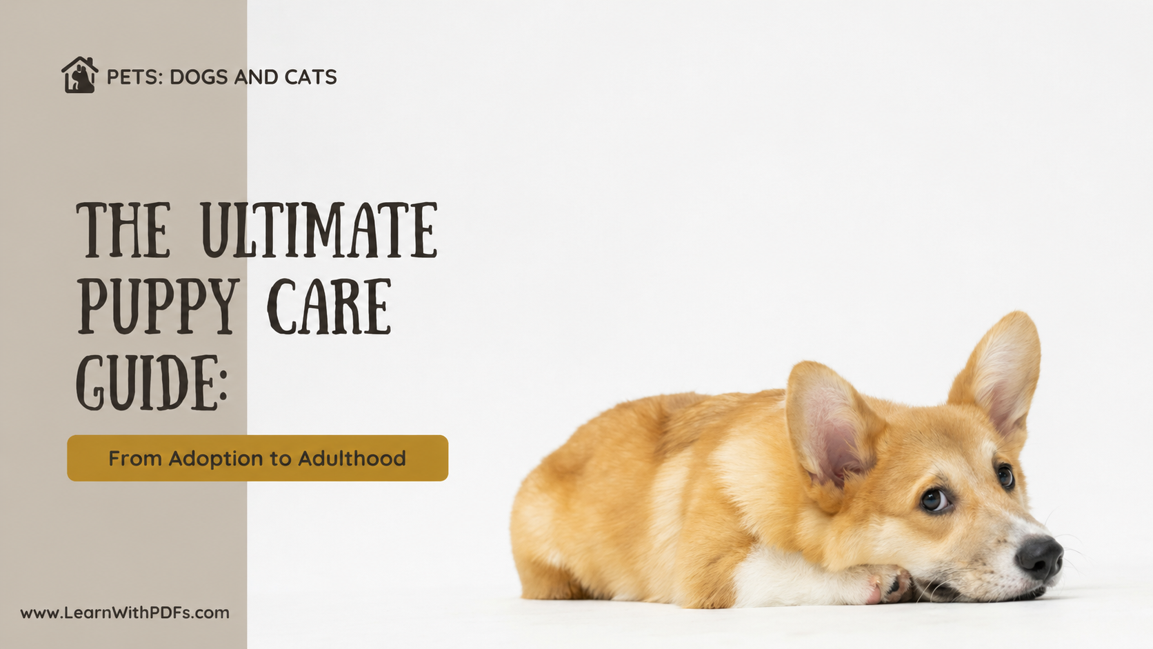 The Definitive Guide to Caring for Puppies: